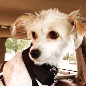 Meet your Posher, Gina